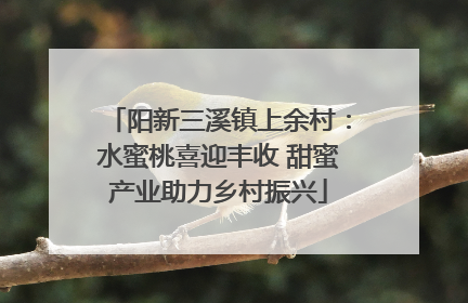 阳新三溪镇上余村：水蜜桃喜迎丰收 甜蜜产业助力乡村振兴