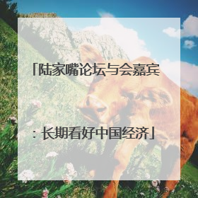 陆家嘴论坛与会嘉宾：长期看好中国经济