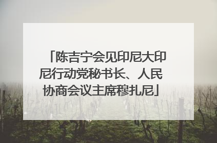 陈吉宁会见印尼大印尼行动党秘书长、人民协商会议主席穆扎尼