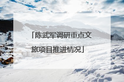 陈武军调研重点文旅项目推进情况