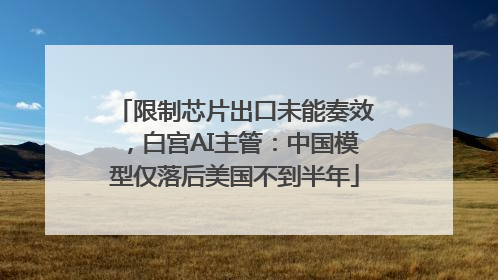 限制芯片出口未能奏效，白宫AI主管：中国模型仅落后美国不到半年