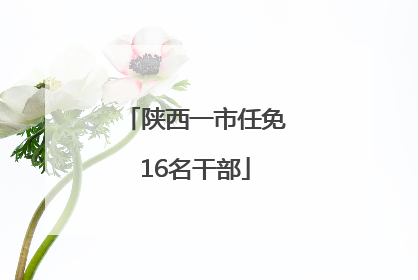 陕西一市任免16名干部