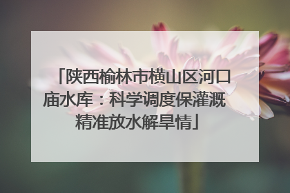 陕西榆林市横山区河口庙水库：科学调度保灌溉 精准放水解旱情
