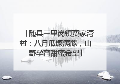 随县三里岗镇贾家湾村：八月瓜缀满藤，山野孕育甜蜜希望