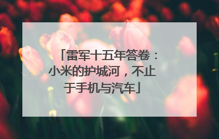 雷军十五年答卷：小米的护城河，不止于手机与汽车