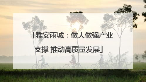雅安雨城：做大做强产业支撑 推动高质量发展