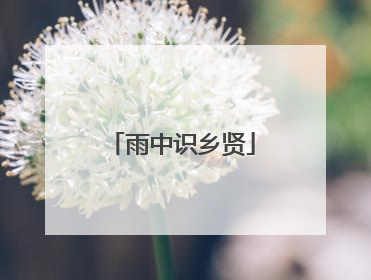 雨中识乡贤