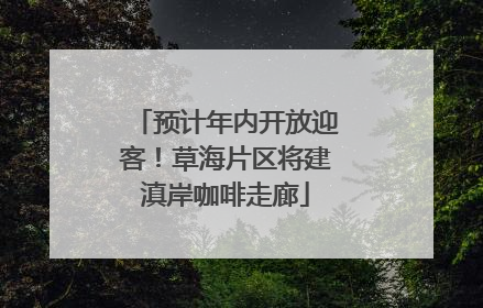 预计年内开放迎客！草海片区将建滇岸咖啡走廊