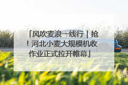 风吹麦浪一线行｜抢！河北小麦大规模机收作业正式拉开帷幕