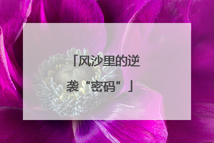 风沙里的逆袭“密码”