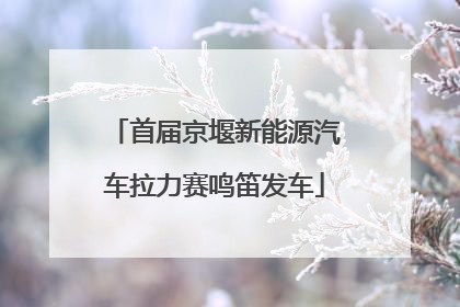 首届京堰新能源汽车拉力赛鸣笛发车