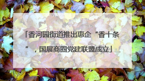 香河园街道推出惠企“香十条”，国展商圈党建联盟成立