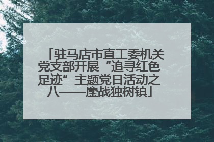 驻马店市直工委机关党支部开展“追寻红色足迹”主题党日活动之八——鏖战独树镇