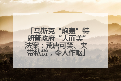 马斯克“炮轰”特朗普政府“大而美”法案：荒唐可笑、夹带私货，令人作呕