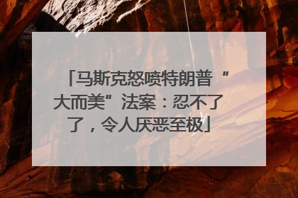 马斯克怒喷特朗普“大而美”法案：忍不了了，令人厌恶至极