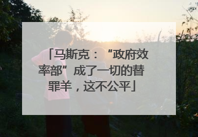 马斯克：“政府效率部”成了一切的替罪羊，这不公平