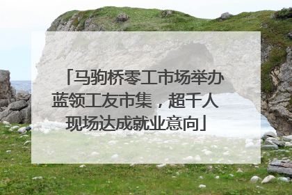 马驹桥零工市场举办蓝领工友市集，超千人现场达成就业意向