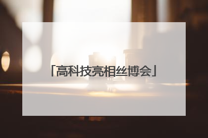 高科技亮相丝博会