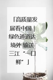 高质量发展看中国｜绿色通道达境外 输送三江“一口鲜”