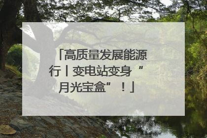 高质量发展能源行丨变电站变身“月光宝盒”！