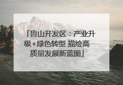 鲁山开发区：产业升级+绿色转型 描绘高质量发展新蓝图