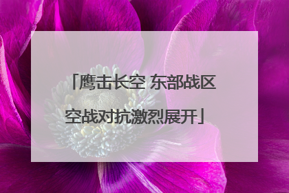 鹰击长空 东部战区空战对抗激烈展开