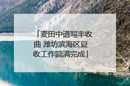 麦田中谱写丰收曲 潍坊滨海区夏收工作圆满完成
