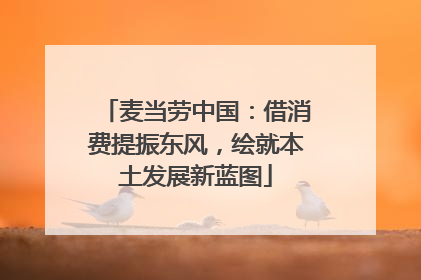 麦当劳中国：借消费提振东风，绘就本土发展新蓝图