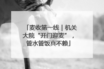 麦收第一线｜机关大院“开门迎麦”，管水管饭真不赖