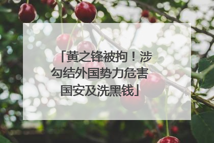 黄之锋被拘！涉勾结外国势力危害国安及洗黑钱