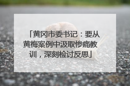 黄冈市委书记：要从黄梅案例中汲取惨痛教训，深刻检讨反思