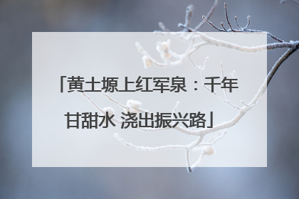 黄土塬上红军泉：千年甘甜水 浇出振兴路