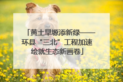 黄土旱塬添新绿——环县“三北”工程加速绘就生态新画卷
