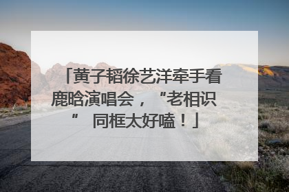 黄子韬徐艺洋牵手看鹿晗演唱会，“老相识” 同框太好嗑！
