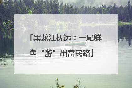 黑龙江抚远：一尾鲜鱼“游”出富民路