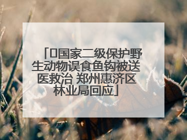 ﻿国家二级保护野生动物误食鱼钩被送医救治 郑州惠济区林业局回应