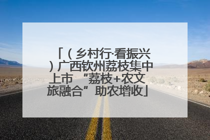 （乡村行·看振兴）广西钦州荔枝集中上市 “荔枝+农文旅融合”助农增收