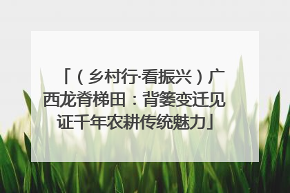 （乡村行·看振兴）广西龙脊梯田：背篓变迁见证千年农耕传统魅力