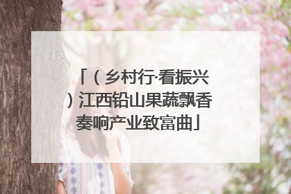 （乡村行·看振兴）江西铅山果蔬飘香 奏响产业致富曲