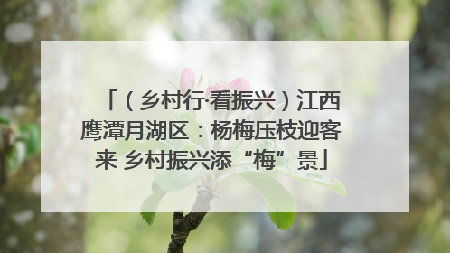 （乡村行·看振兴）江西鹰潭月湖区：杨梅压枝迎客来 乡村振兴添“梅”景