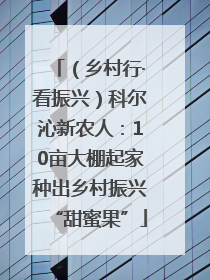 （乡村行·看振兴）科尔沁新农人：10亩大棚起家种出乡村振兴“甜蜜果”