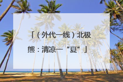（外代一线）北极熊：清凉一“夏”