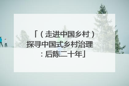 （走进中国乡村）探寻中国式乡村治理：后陈二十年