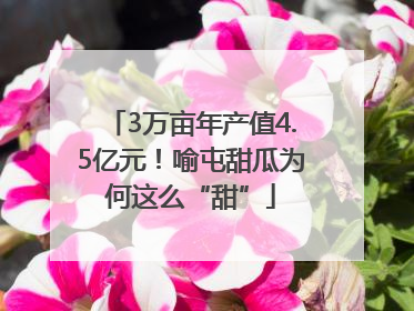 3万亩年产值4.5亿元！喻屯甜瓜为何这么“甜”