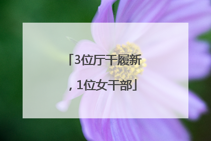 3位厅干履新，1位女干部