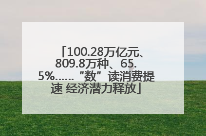 100.28万亿元、809.8万种、65.5%……“数”读消费提速 经济潜力释放