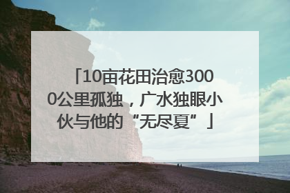 10亩花田治愈3000公里孤独，广水独眼小伙与他的“无尽夏”