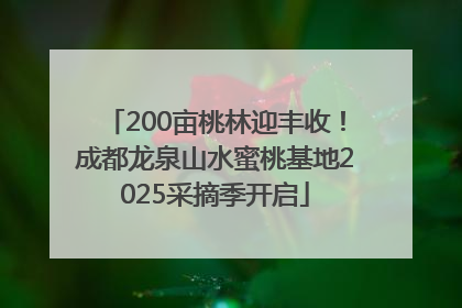 200亩桃林迎丰收！成都龙泉山水蜜桃基地2025采摘季开启