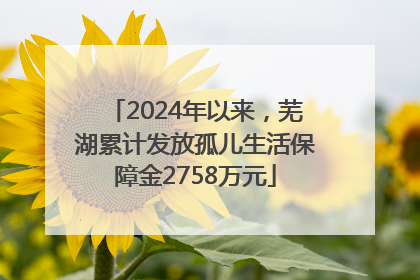 2024年以来，芜湖累计发放孤儿生活保障金2758万元