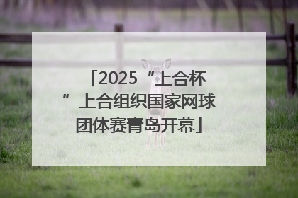 2025“上合杯”上合组织国家网球团体赛青岛开幕